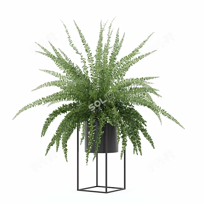 Modern Fern in Decorative Pot 3D model image 8