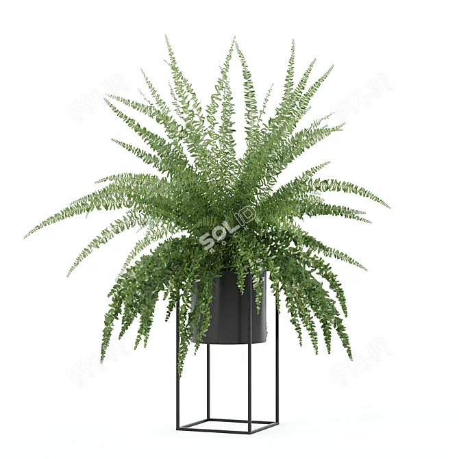 Modern Fern in Decorative Pot 3D model image 9