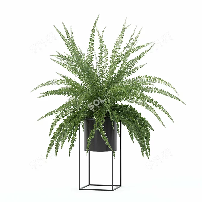 Modern Fern in Decorative Pot 3D model image 10