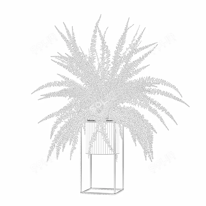 Modern Fern in Decorative Pot 3D model image 11