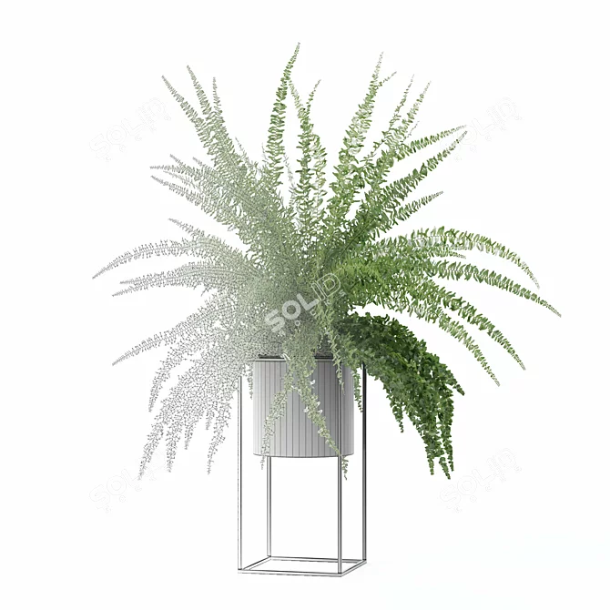 Modern Fern in Decorative Pot 3D model image 12