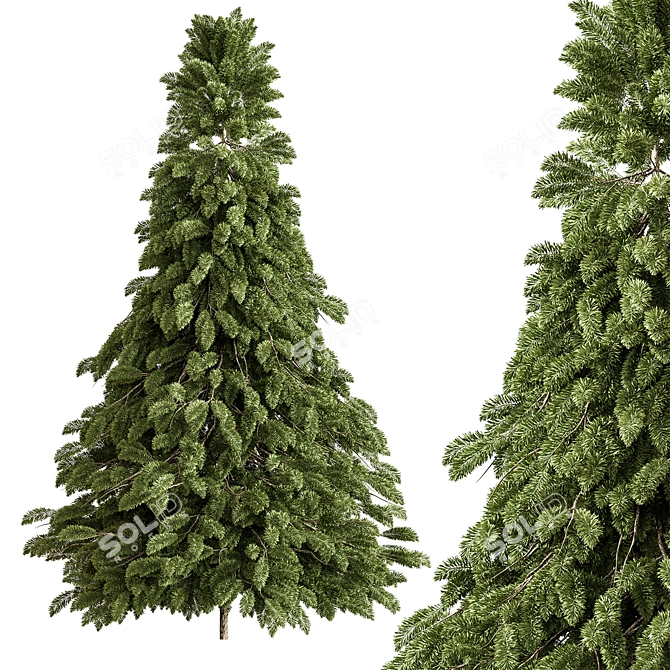 Snowy Pine Tree Set 284 3D model image 1