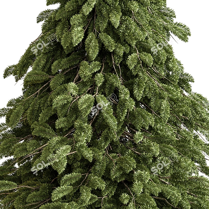 Snowy Pine Tree Set 284 3D model image 2