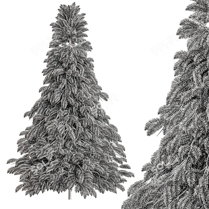 Snowy Pine Tree Set 284 3D model image 3