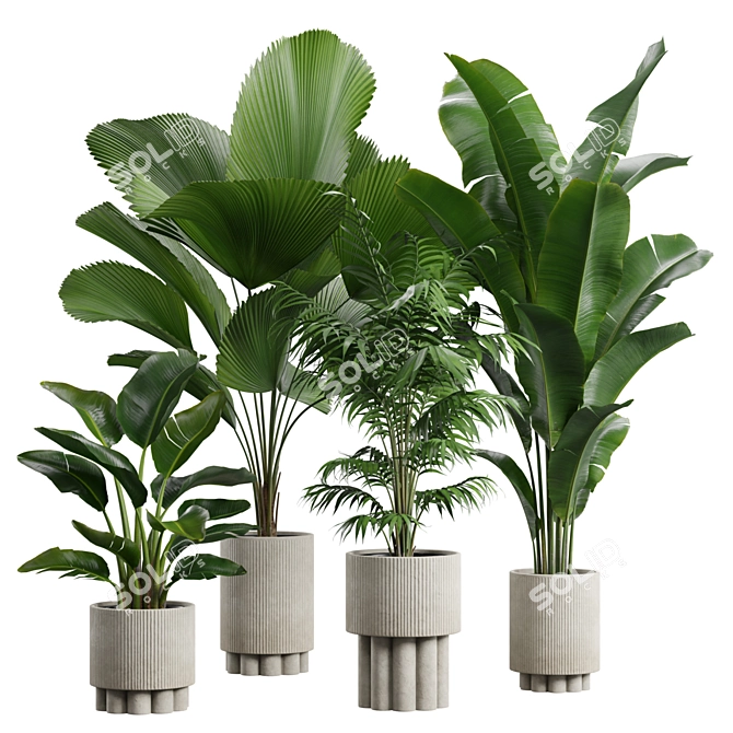 Exotic Indoor Plants Collection Pack 3D model image 1