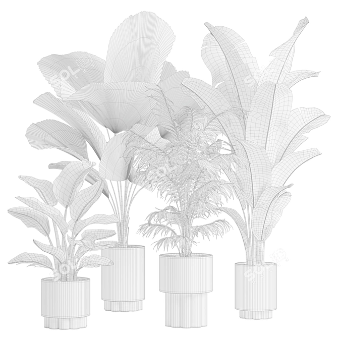 Exotic Indoor Plants Collection Pack 3D model image 3