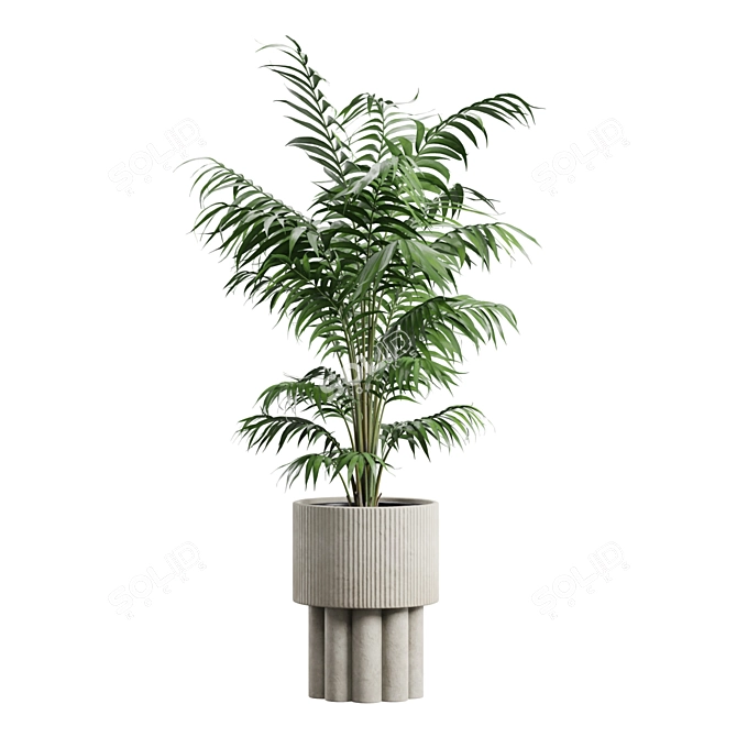 Exotic Indoor Plants Collection Pack 3D model image 5