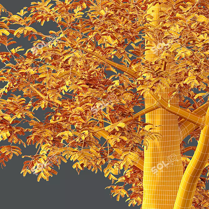 Premium Ash Trees Bundle 3D model image 4