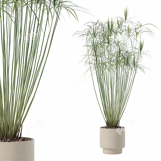 Modern Cyperus Papyrus Plant Pot 3D model image 1