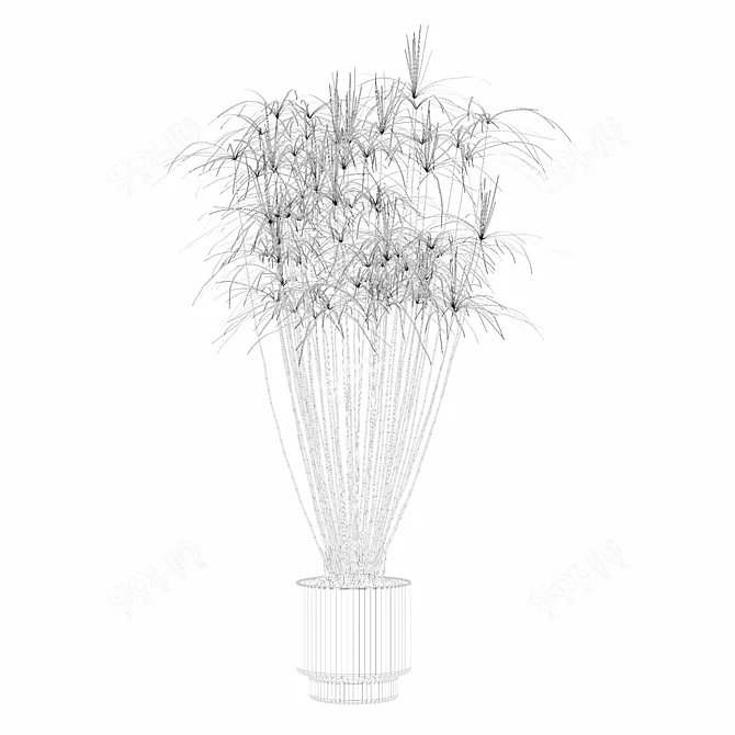 Modern Cyperus Papyrus Plant Pot 3D model image 2