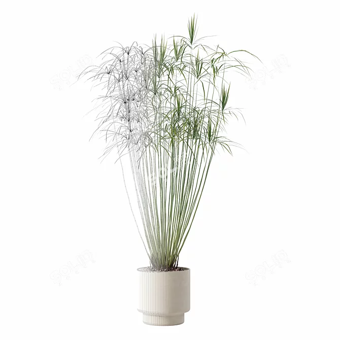 Modern Cyperus Papyrus Plant Pot 3D model image 5