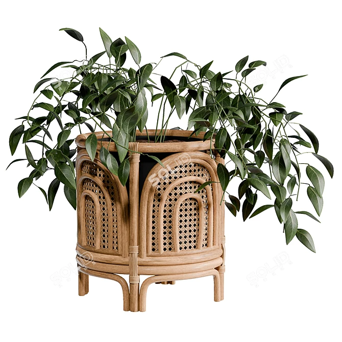 Rainbow Planter With UV Unwrap 3D model image 1