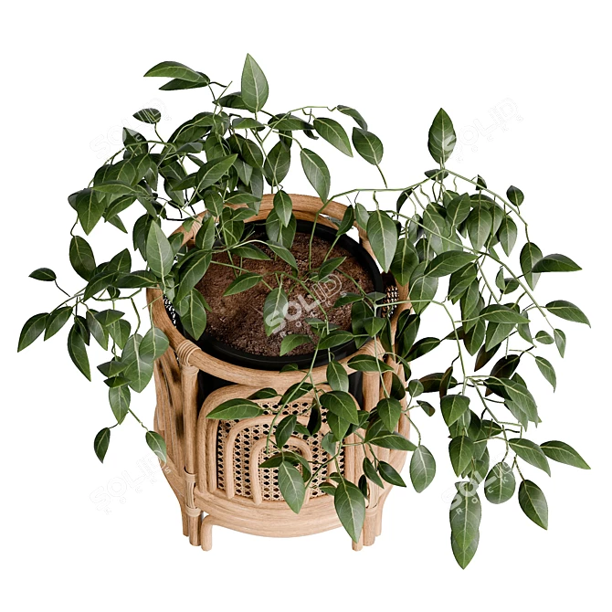 Rainbow Planter With UV Unwrap 3D model image 3