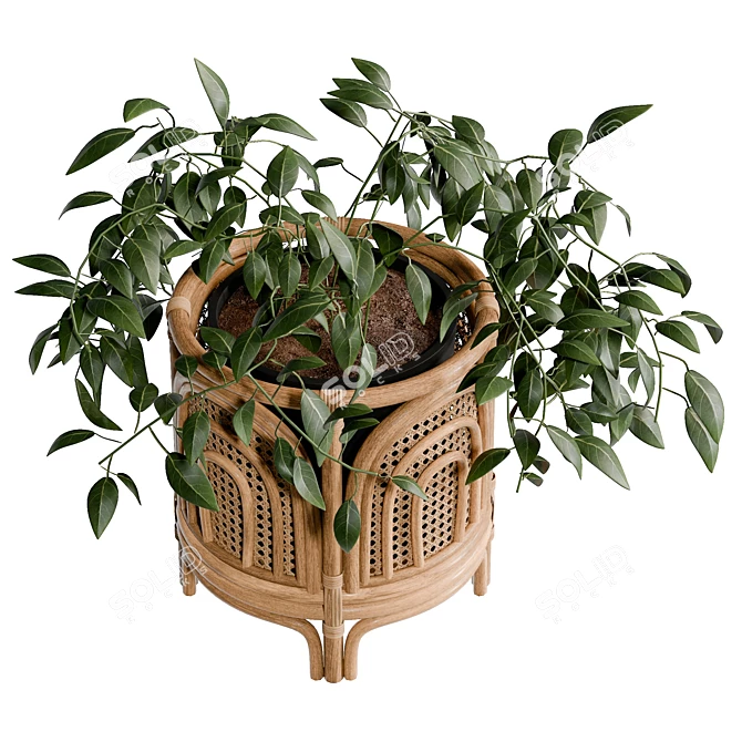 Rainbow Planter With UV Unwrap 3D model image 5