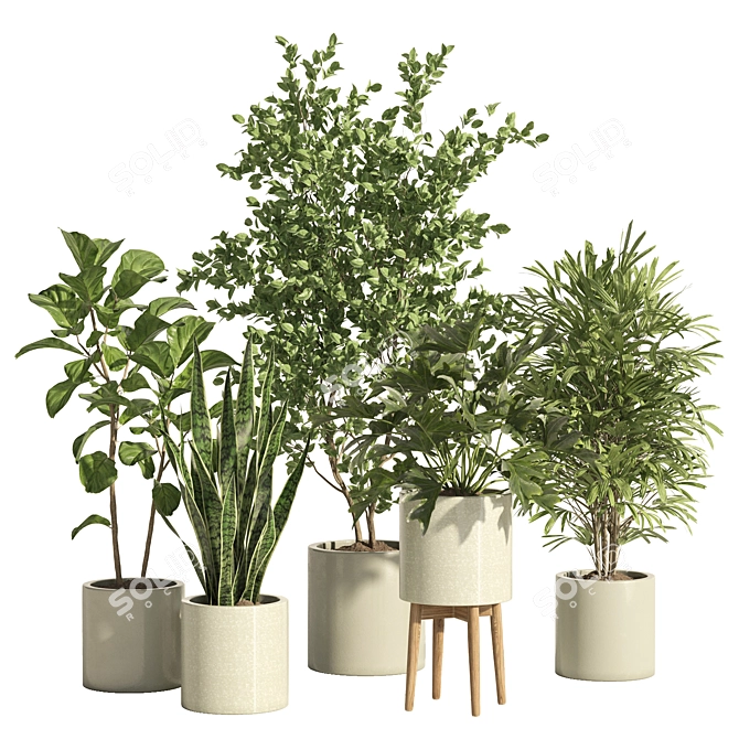 Potted Indoor Plant Set 66 3D model image 1