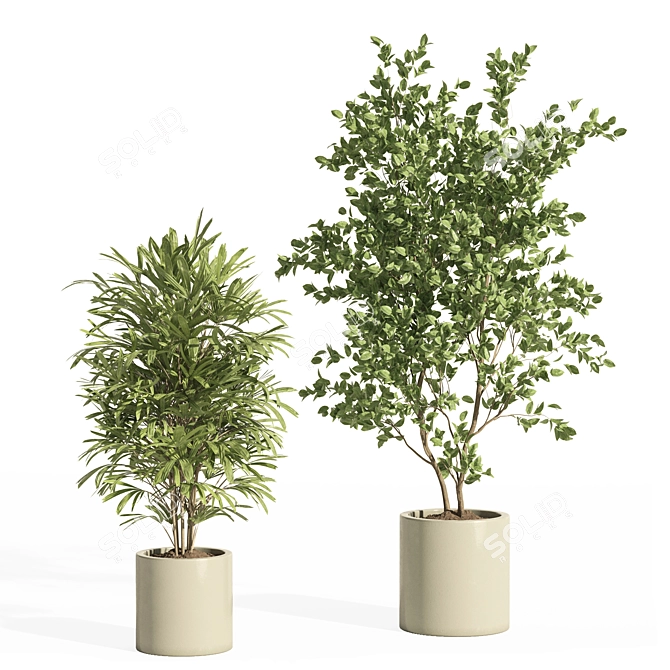 Potted Indoor Plant Set 66 3D model image 2