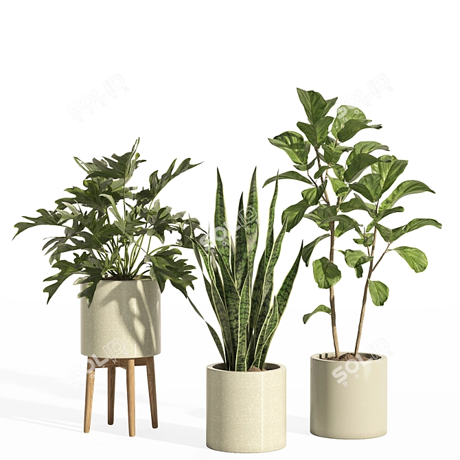 Potted Indoor Plant Set 66 3D model image 3