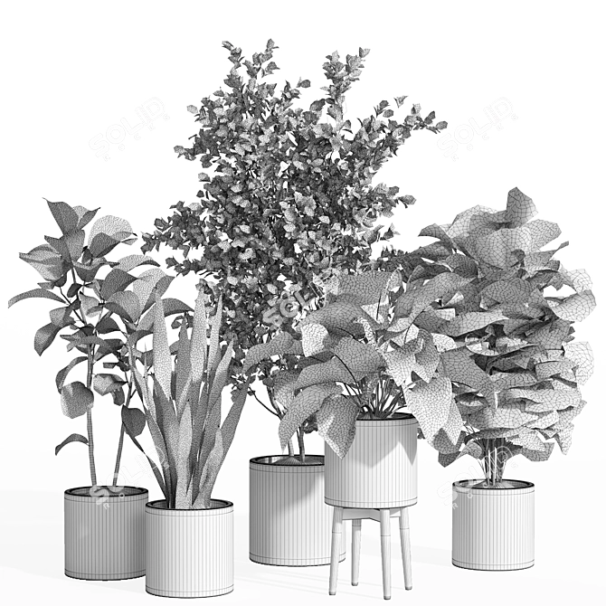 Potted Indoor Plant Set 66 3D model image 4