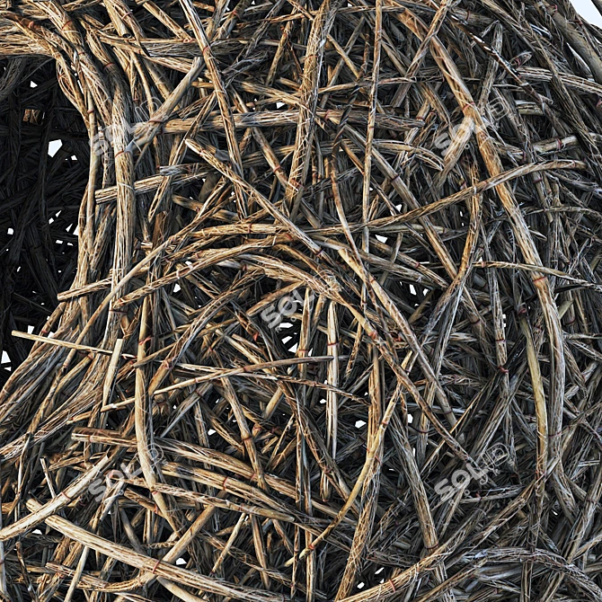 Polygon Texture Pack, 3D Models 3D model image 3