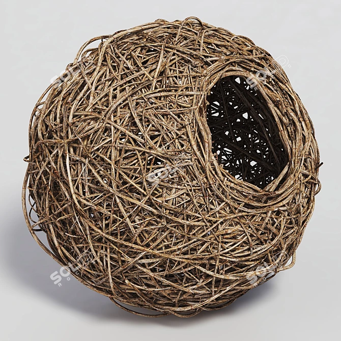 High-Poly Nest 3D Model 3D model image 2