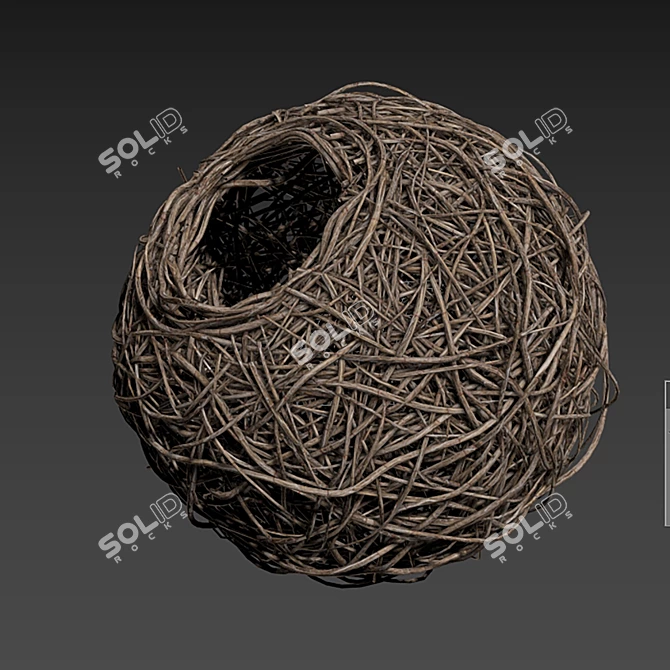 High-Poly Nest 3D Model 3D model image 4