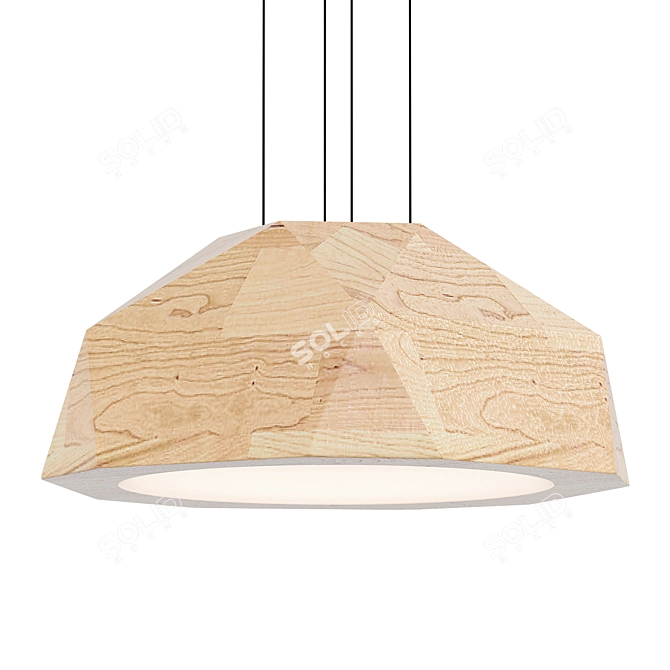 ImperiumLoft BROBY D40 Gray Pendant 3D model image 2