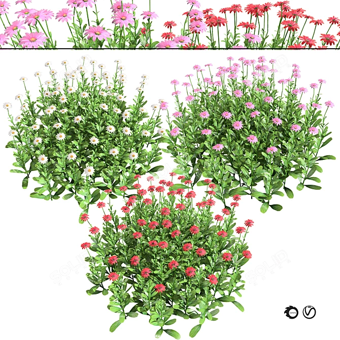 Vibrant 3D Daisy Flower Bush 3D model image 1