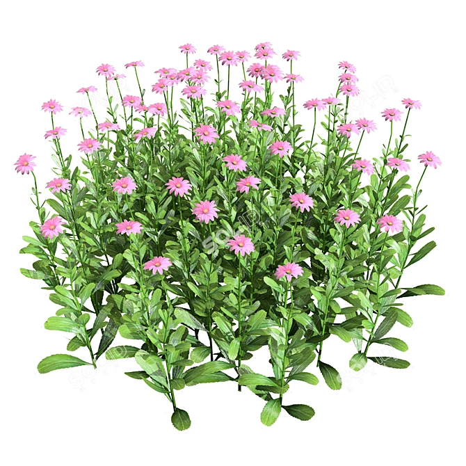 Vibrant 3D Daisy Flower Bush 3D model image 4