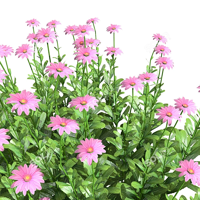 Vibrant 3D Daisy Flower Bush 3D model image 5