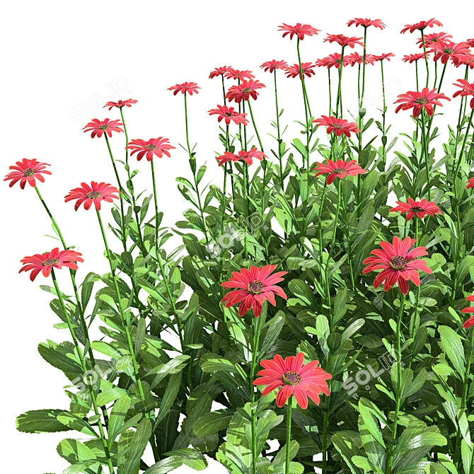 Vibrant 3D Daisy Flower Bush 3D model image 6