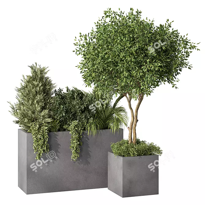 Nature-Inspired Plant Set Ensemble 3D model image 1