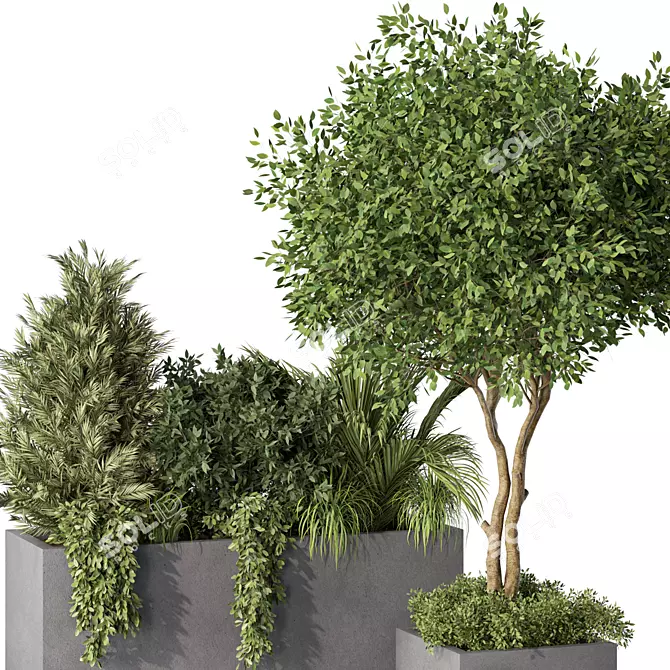 Nature-Inspired Plant Set Ensemble 3D model image 3