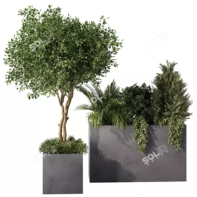 Nature-Inspired Plant Set Ensemble 3D model image 4