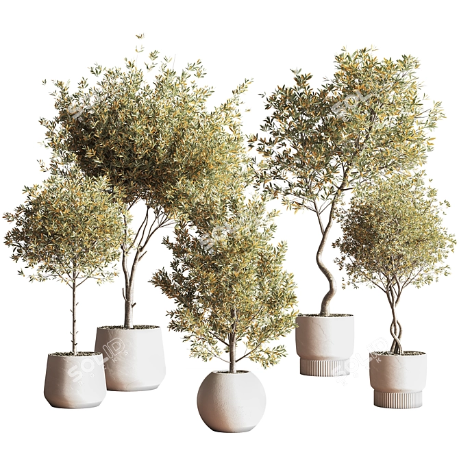 Modern Indoor Plant Set 3D 3D model image 1