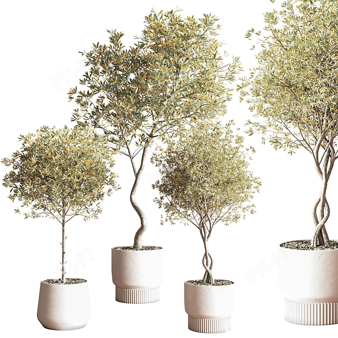 Modern Indoor Plant Set 3D 3D model image 4