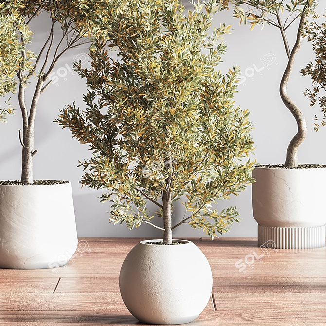 Modern Indoor Plant Set 3D 3D model image 6