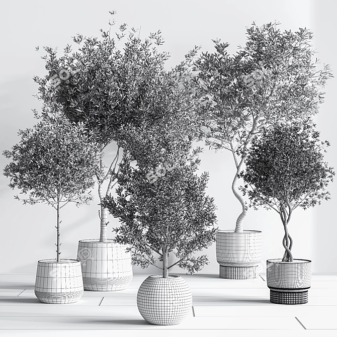 Modern Indoor Plant Set 3D 3D model image 11