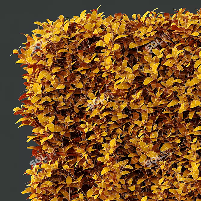 Golden Privet Box Hedge Set 3D model image 4