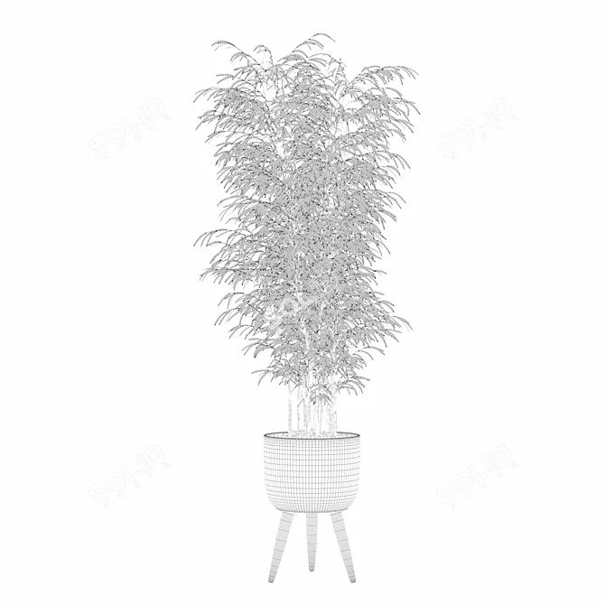  Modern Bamboo Plant in Pot 3D model image 3