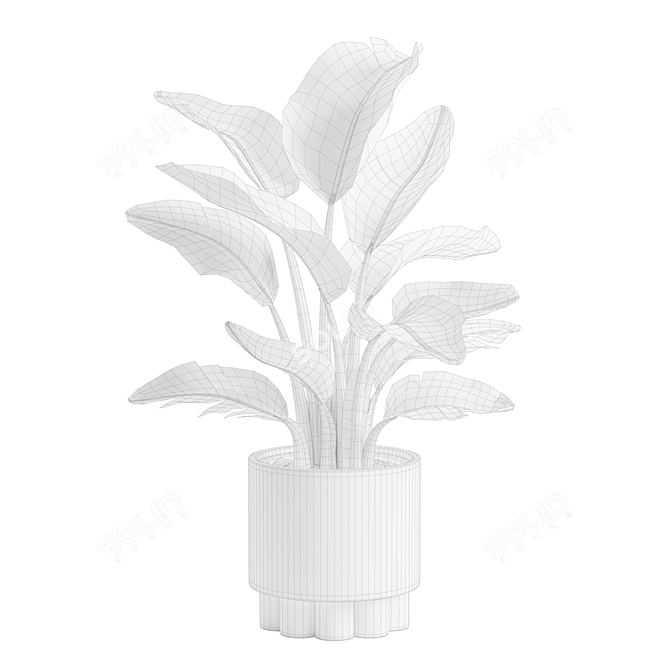 Tropical Strelitzia Houseplant Decor 3D model image 3