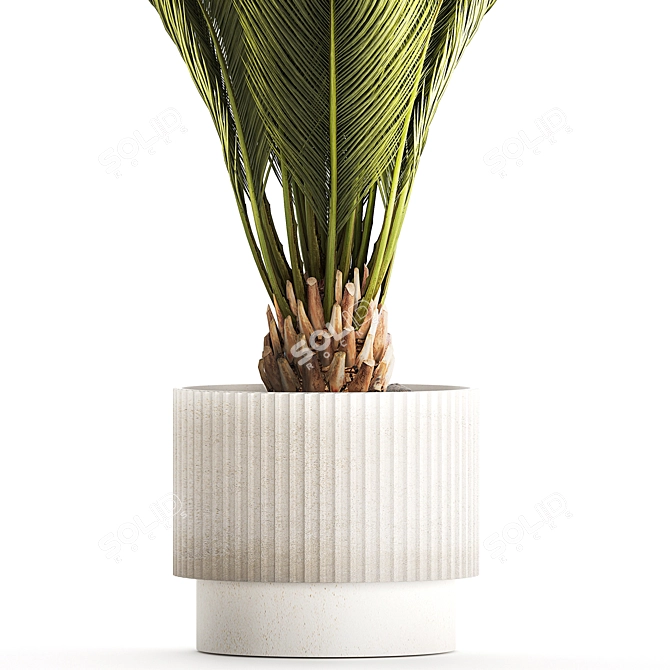 Exotic Phoenix Palm Set 3D model image 5