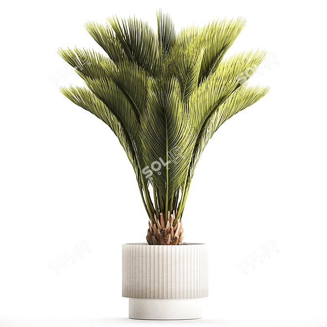 Exotic Phoenix Palm Set 3D model image 6