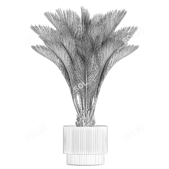 Exotic Phoenix Palm Set 3D model image 7