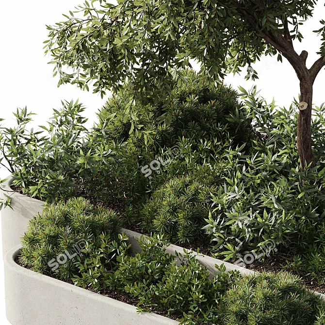 Title: 27-Piece Outdoor Plant Set 3D model image 6