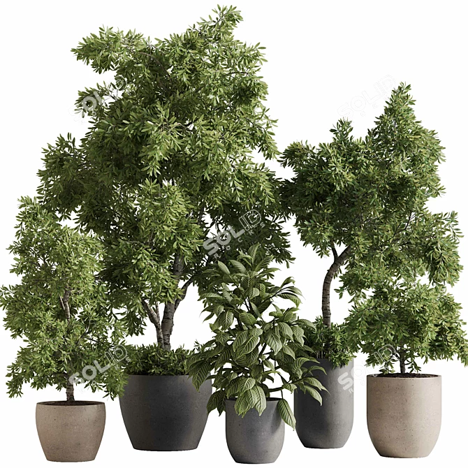  Outdoor Plant Set with Textures 3D model image 1