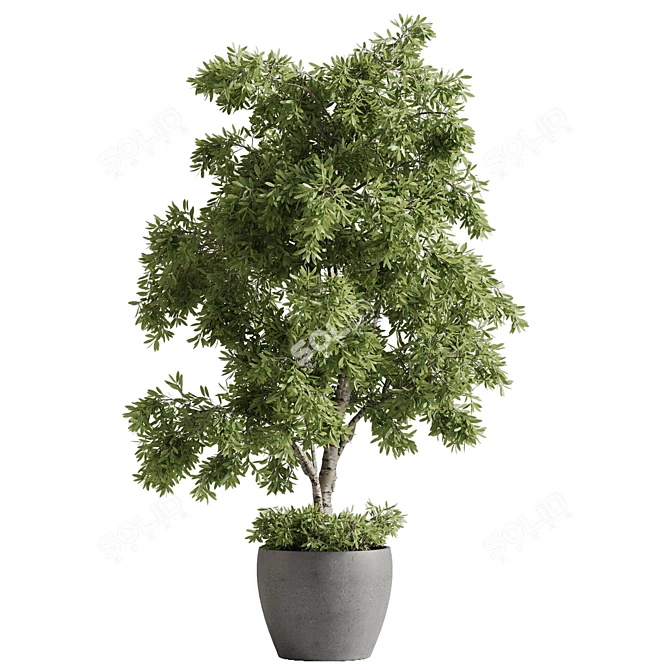  Outdoor Plant Set with Textures 3D model image 2