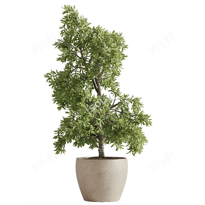  Outdoor Plant Set with Textures 3D model image 4