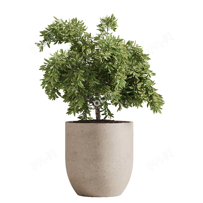  Outdoor Plant Set with Textures 3D model image 5