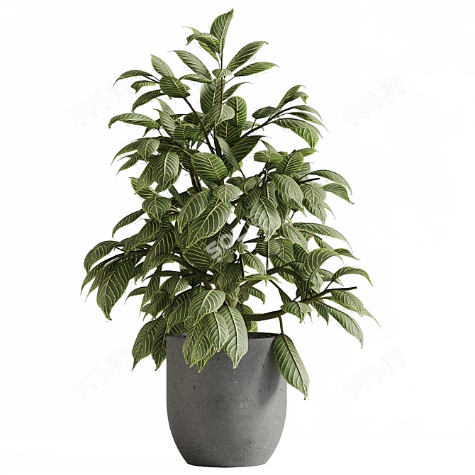 Outdoor Plant Set with Textures 3D model image 6