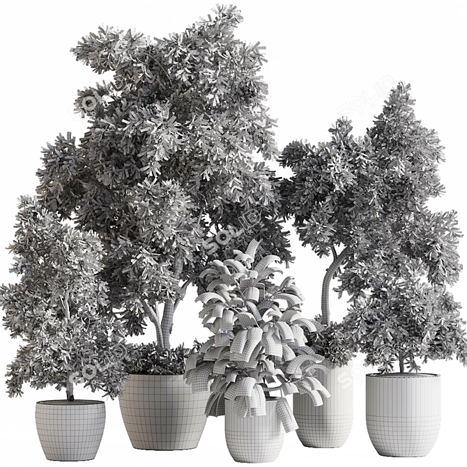  Outdoor Plant Set with Textures 3D model image 7